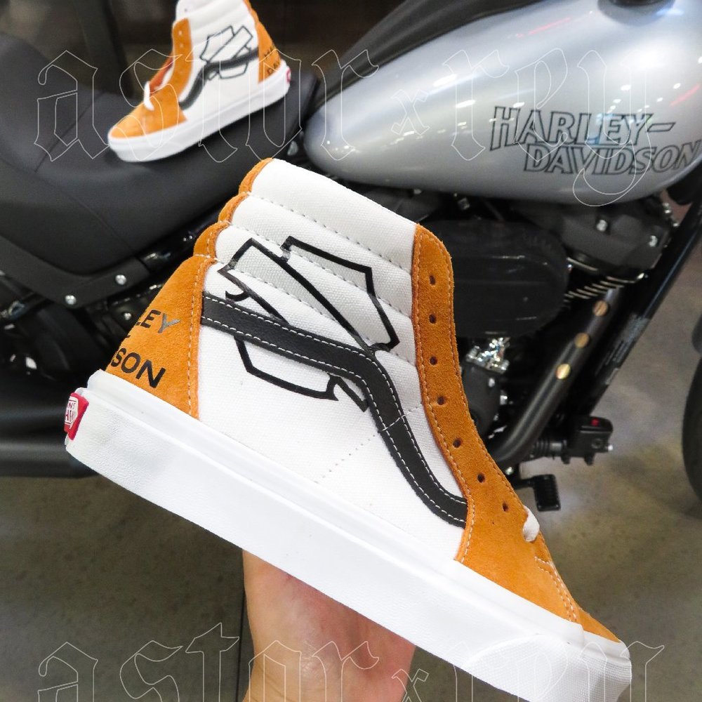 CUSTOM HARLEY-DAVIDSON SK8 HIs